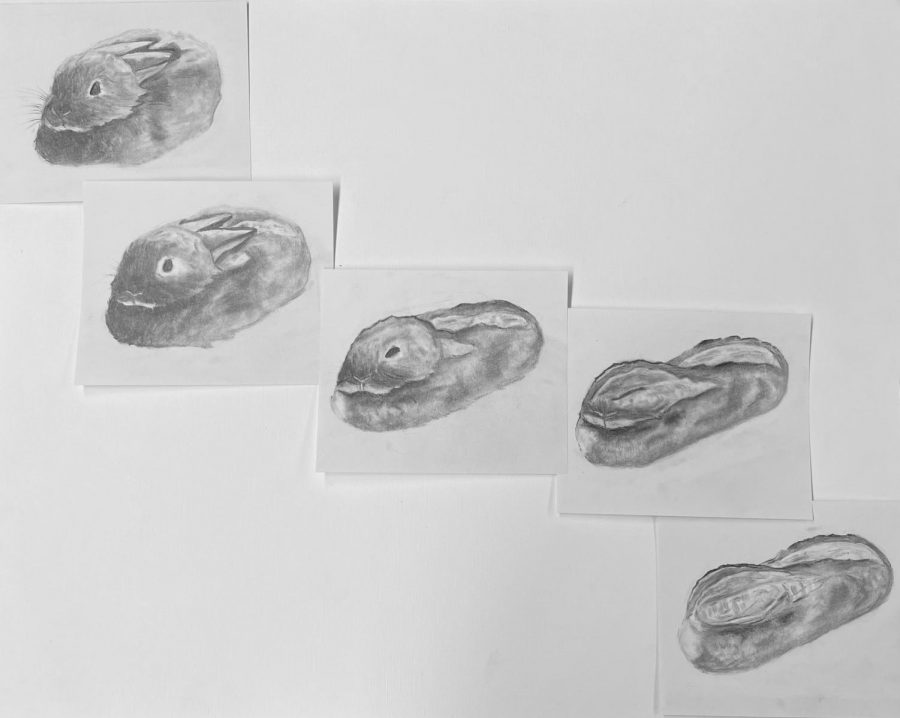 Foundations Studio - Metamorphosis Project:

Students were asked to find an animal online and then take a photo of an object in a corresponding position. After rendering each picture individually, they had to create three middle images that morphed the drawings into each other.